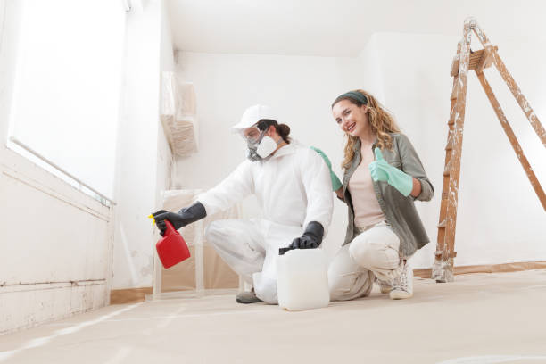 Best Residential Mold Inspection & Testing  in Newpt, OR